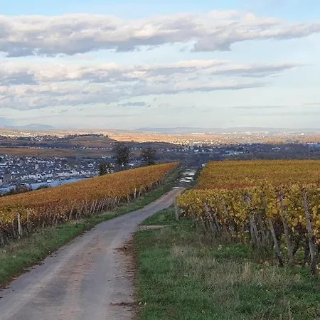 Apartamento Kastaniennest