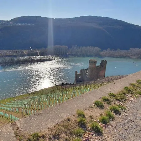 Apartamento Kastaniennest