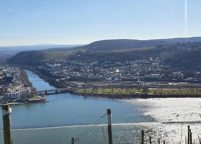 Kastaniennest * Bingen am Rhein